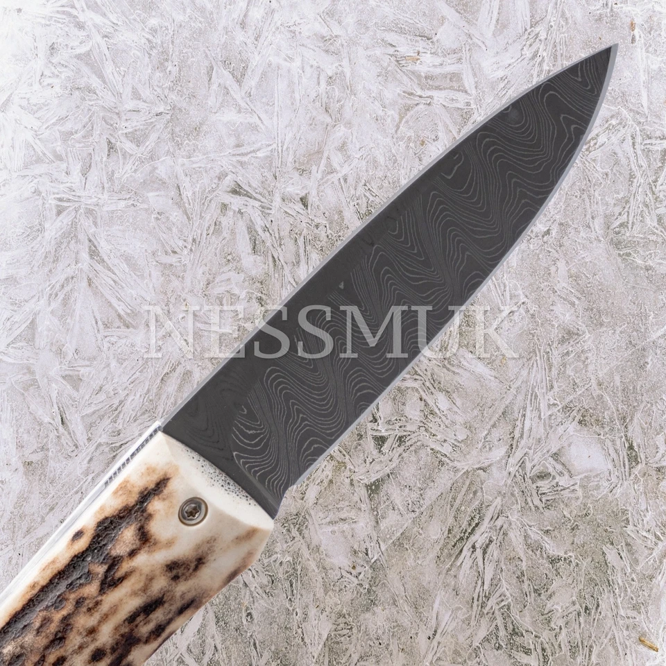 Navaja de bolsillo plegable Lion Steel T8800DCE Opera Damascus Stag Lockback Foto 3 de 4