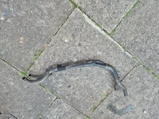 Mazda CX-5 Engine Radiator Water Coolant Pipe Hose