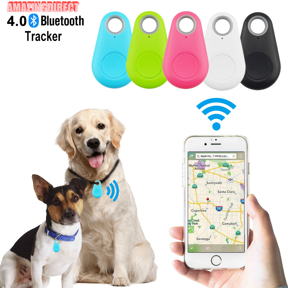gps pet tag