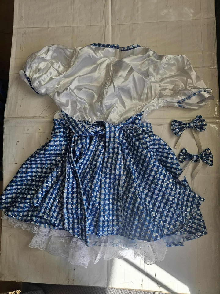  Disfraz de Dorothy El Mago de Oz Niño Niños Libro Semana Elegante talla 4-6 Foto 2 de 3