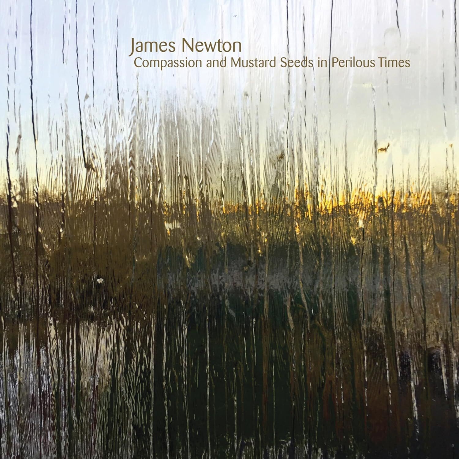 James Newton James Newton: Compassion and Mustard Seeds in Perilous Times (CD)