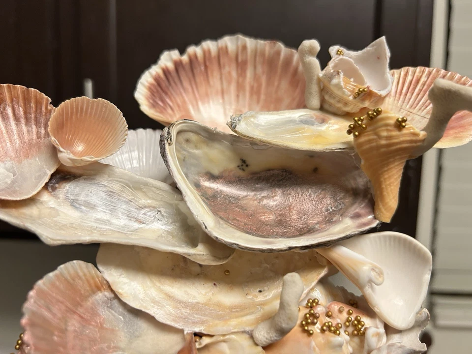 Soporte para joyas Seashell único en su tipo hecho a mano para anillos collares etc. Foto 2 de 4