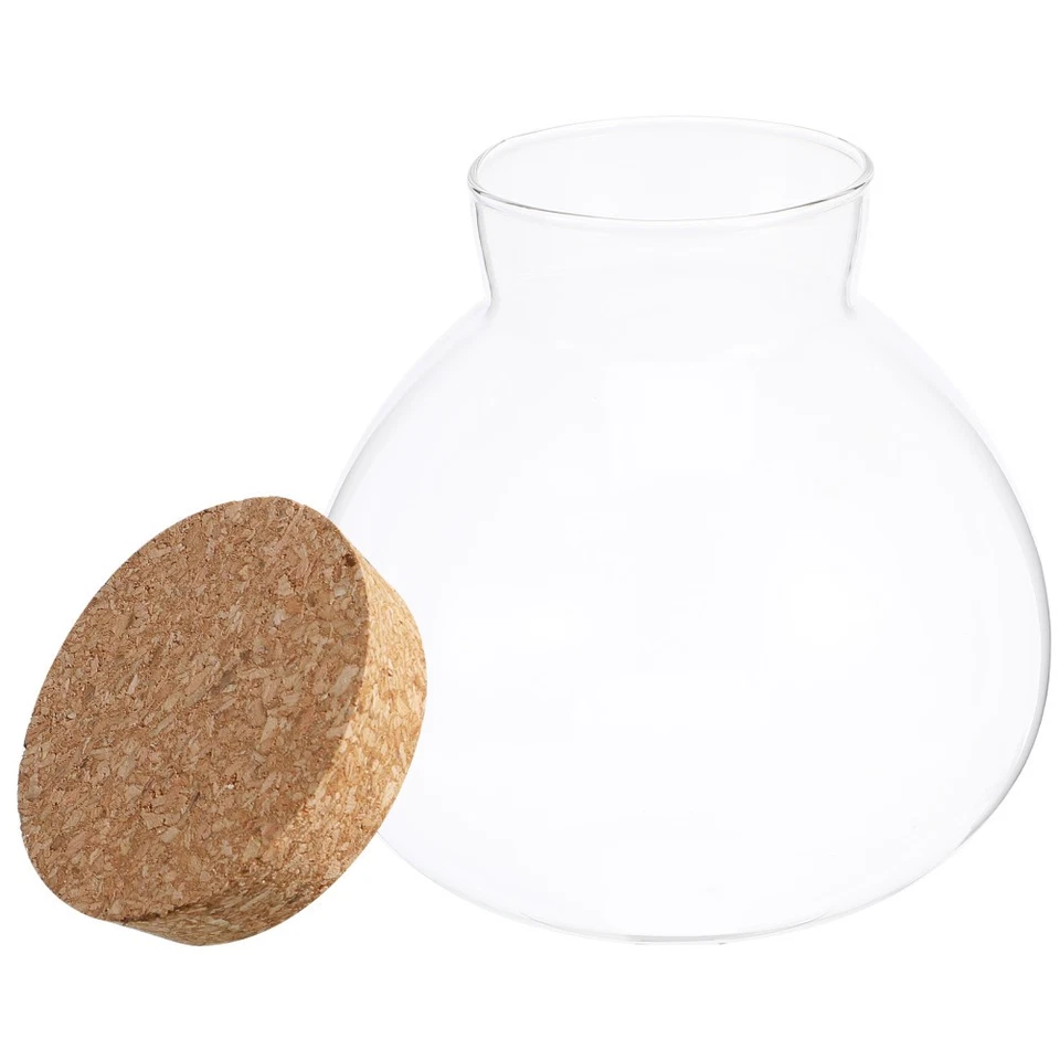 Glass Terrarium Bottle Round 15 cm X 16 cm With Cork Lid For Plant Landscape