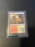 Arid Mesa - MTG Magic the Gathering - Modern Masters 2017 NM