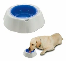 Freeze and Chill Ice Cold Dog and Pet Water Bowl