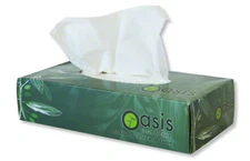 Oasis Facial Tissues 2-Ply Soft White, 100 Sheets per Box, Bulk Case of 30 Boxes