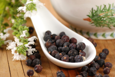 1000g  Wacholderbeeren Wacholder 1 Kg Top Qualität