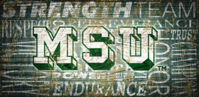 MICHIGAN STATE SPARTANS HERITAGE WORD COLLAGE TEAM LOGO WOOD SIGN 12X6 ...