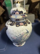  on The Hot Collector