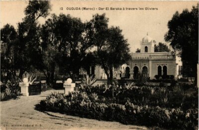CPA AK MAROC OUDJDA - Dar el Baraka a travers les Oliviers (280931)