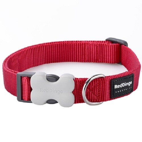 Red Dingo Classic Plain Nylon Dog Collar - XS, S, M, L - Picture 26 of 43