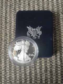 USA 1 Dollar 1999 American Eagle 1 oz Silber PP