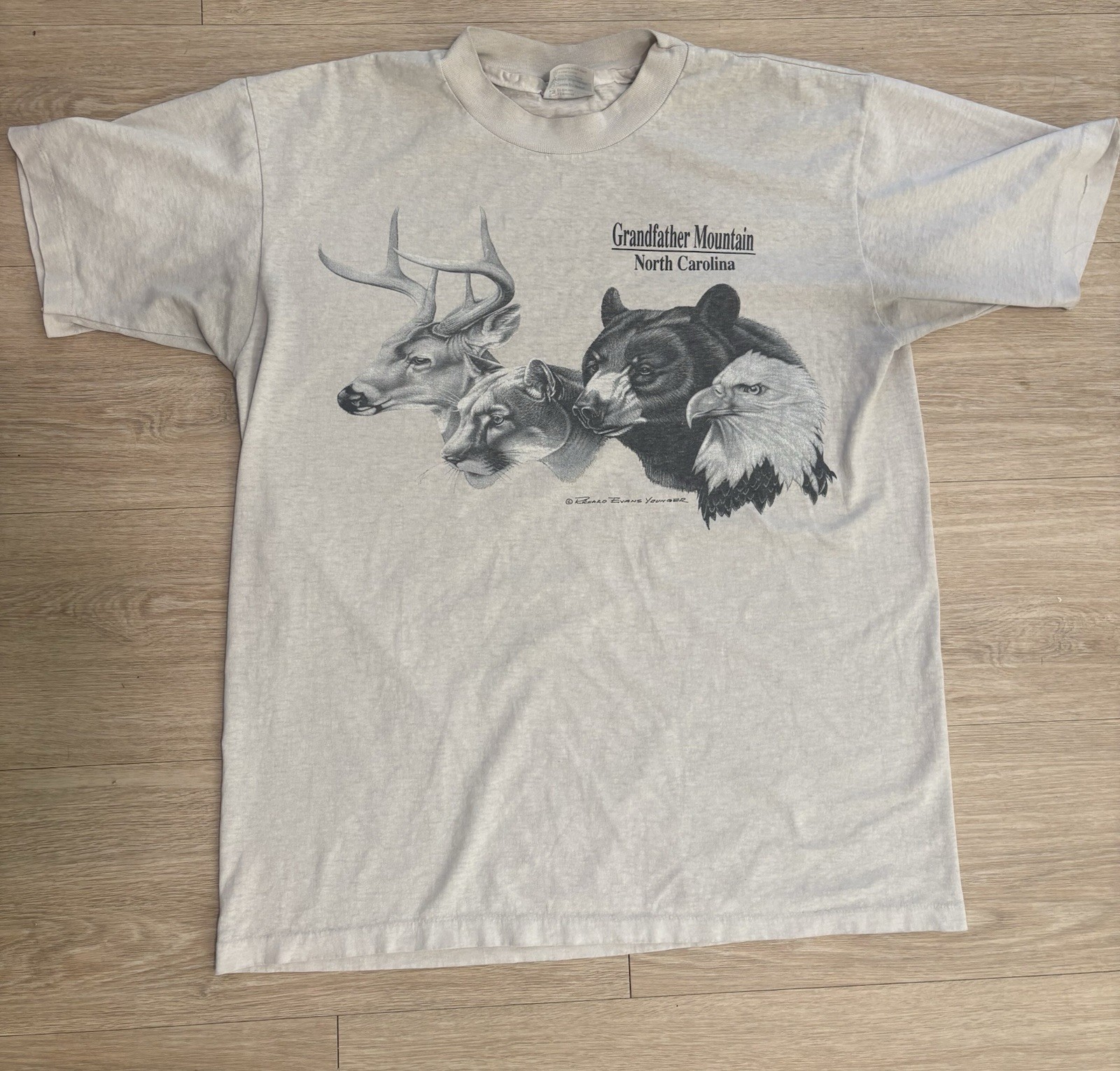 Vintage 90s Grandfather Mountain Graphic T Shirt
