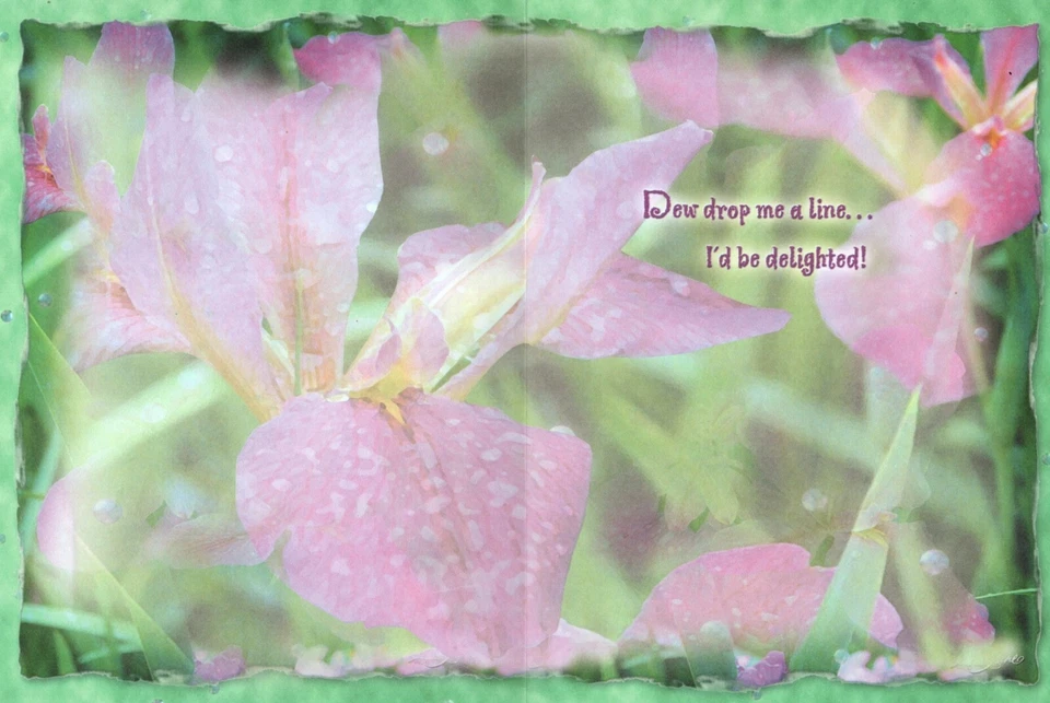 Thinking Of You Pink Fairy Fairies Iris In Bloom Lisa Jane Greeting Card - Image 2 of 3