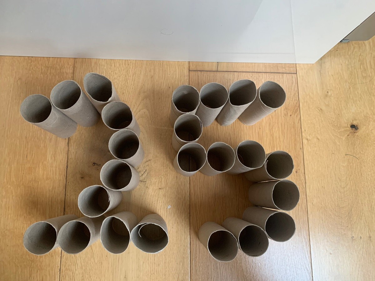 25 Toilet Roll Cardboard Inner Tubes ideal for seedlings,arts