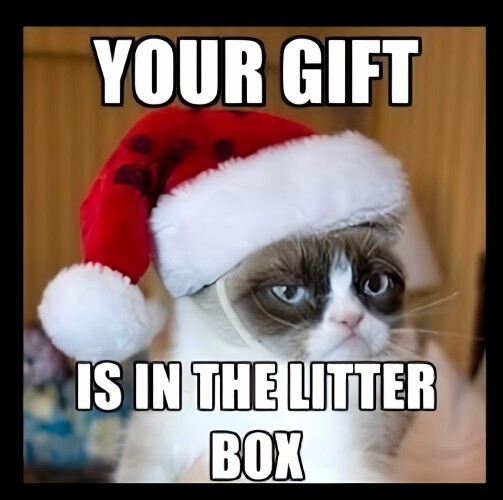 Your Gift Is In The Litter Box Grumpy Cat Santa Hat Christmas