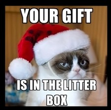 Your Gift Is In The Litter Box Grumpy Cat Santa Hat Christmas Holiday MAGNET