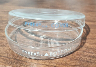 #ad PYREX Glass Petri Dish 100mm x 10mm Cover amp; Bottom Reusable Pick Quantity USA $157.50