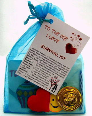 girlfriend survival kit for boyfriend