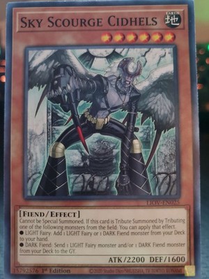 Yu-Gi-Oh TCG Sky Scourge Cidhels LIOV-EN025 1st Edition Common Card NM
