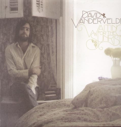 David Vandervelde - Waiting For The Sunrise - Vinyl Record 12 Record - E3447Z-image
