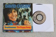 David Cassidy  - The Puppy Song -  German Picture Sleeve PS 7"