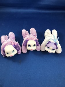 puppy surprise replacement puppies