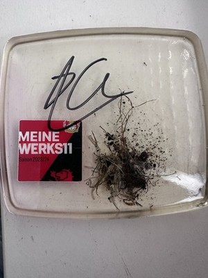 Original BayArena Rasen   Meister-Saison 2023/24   Originalsignatur Xabi Alonso