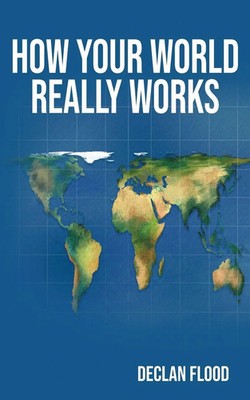 How Your World Really Works Declan Flood Taschenbuch Englisch 2024