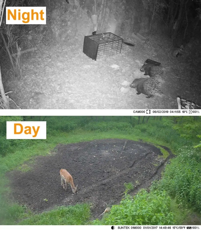 Foto 4 di 16