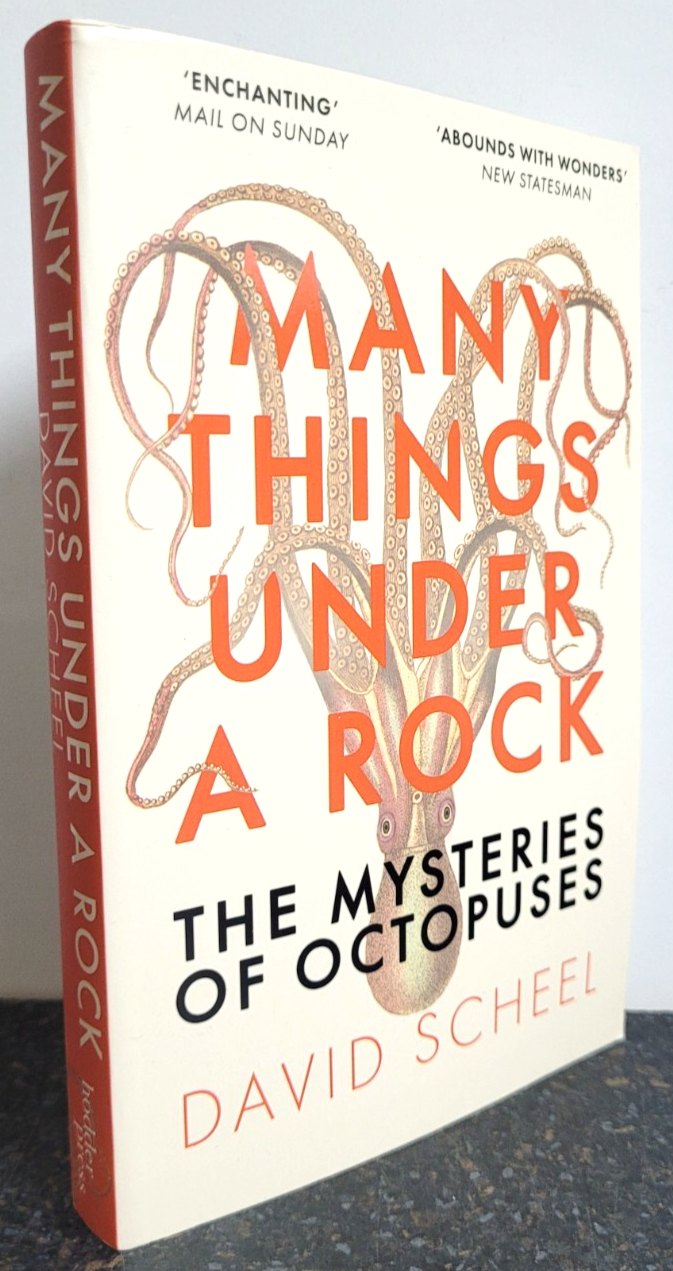 Many Things Under a Rock : The Mystery of Octopuses by David Scheel , Paperback