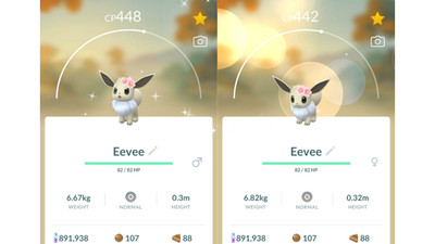  Shiny Eevee (Schillernd Evoli) Cherry Blossom Pokemon GO  Registered Only