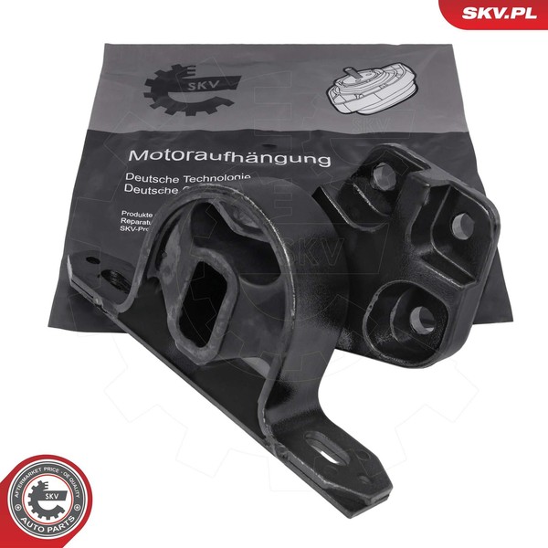 Esen SKV Lagerung, Motor 75SKV039 FüR Ford-image