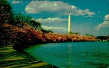 Washington Monument Postcard Cherry Blossom Tidal Basin Unposted Vintage PE-27