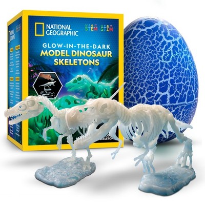 National Geographic Glow-in-The-Dark Dinosaur Skeleton Models Kit   Build Rep...