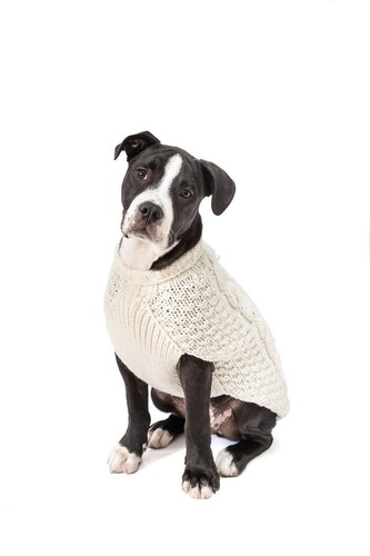 Natural Cable Knit Dog Sweater Chilly Dog Hand Knit Wool XXS-XXXL Puppy Pet NWT - Picture 6 of 14