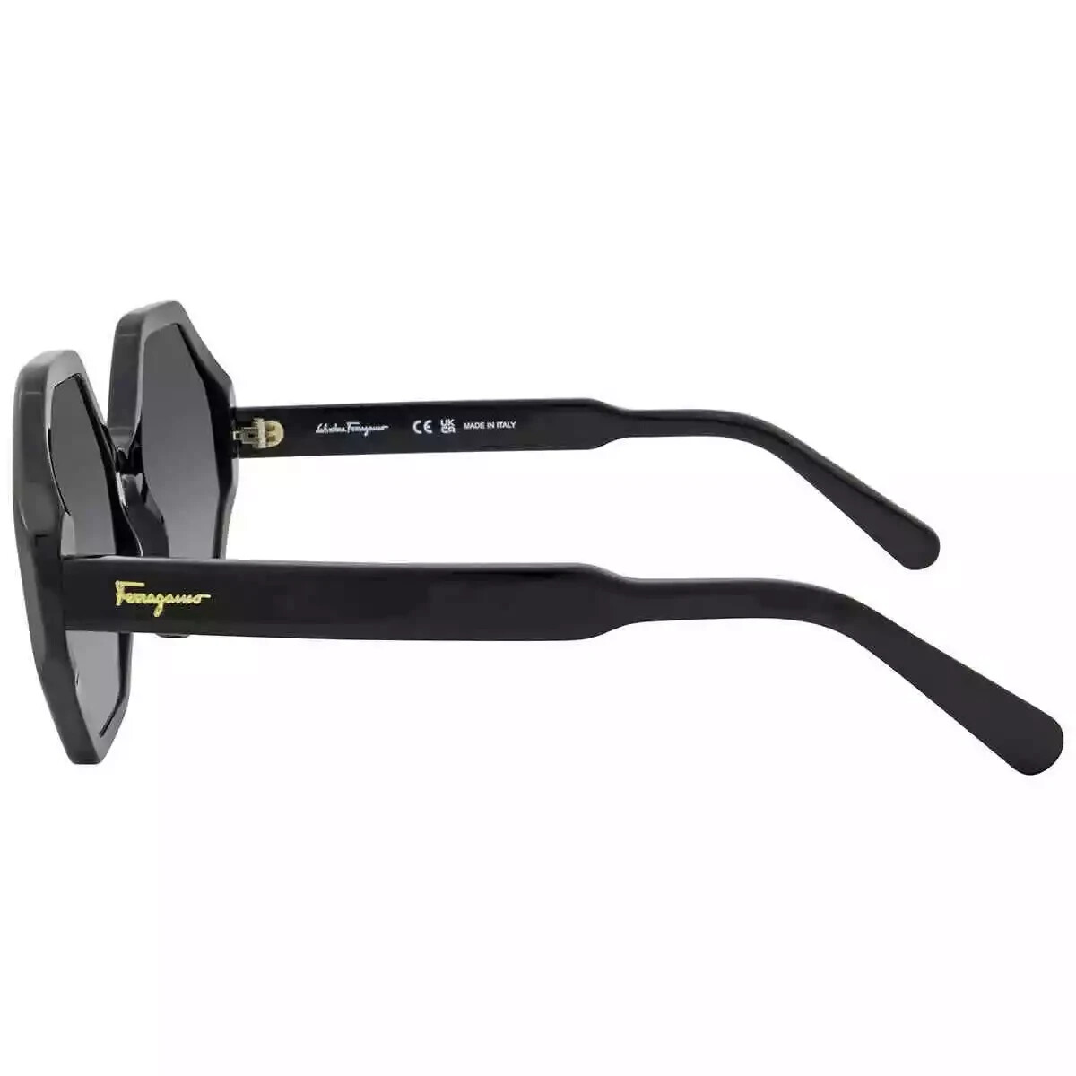 Salvatore Ferragamo SF1070S Sunglasses Salvatore Ferragamo SF 1070S Acetate Womens Round Sunglasses  main image 4