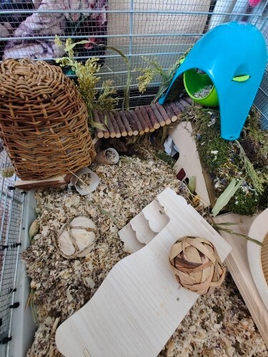 Hamster Spielplattform Holz kleine Haustier Ratte Spielständer Essen Schüssel Käfig Zubehör - Bild 24 von 24