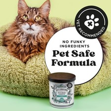Pet-Pourri Pawsitively Fresh Pet Odor Deodorizer Candle, Burns 7.5oz, White