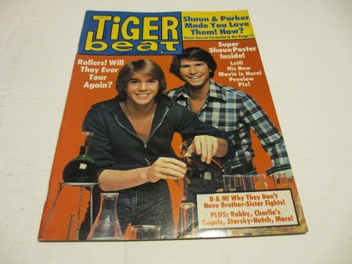 TIGER BEAT magazine June 1977 Hardy Boys FARRAH Rollers LEIF Charlie's Angels