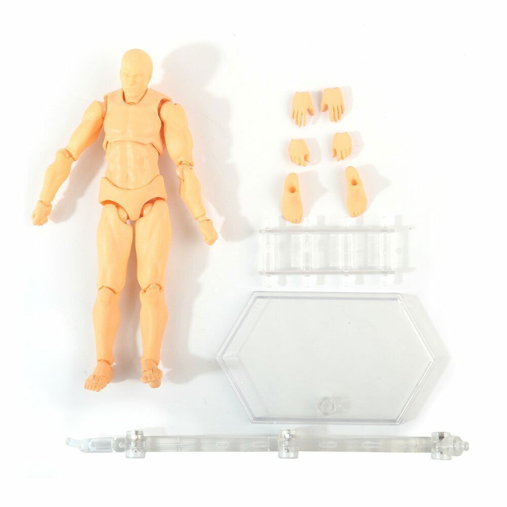 Figma She/he S.H.Figuarts SHF Body kun DX SET PVC Body-Chan Figma She/he S.H.Figuarts SHF Body kun DX SET PVC Body-Chan