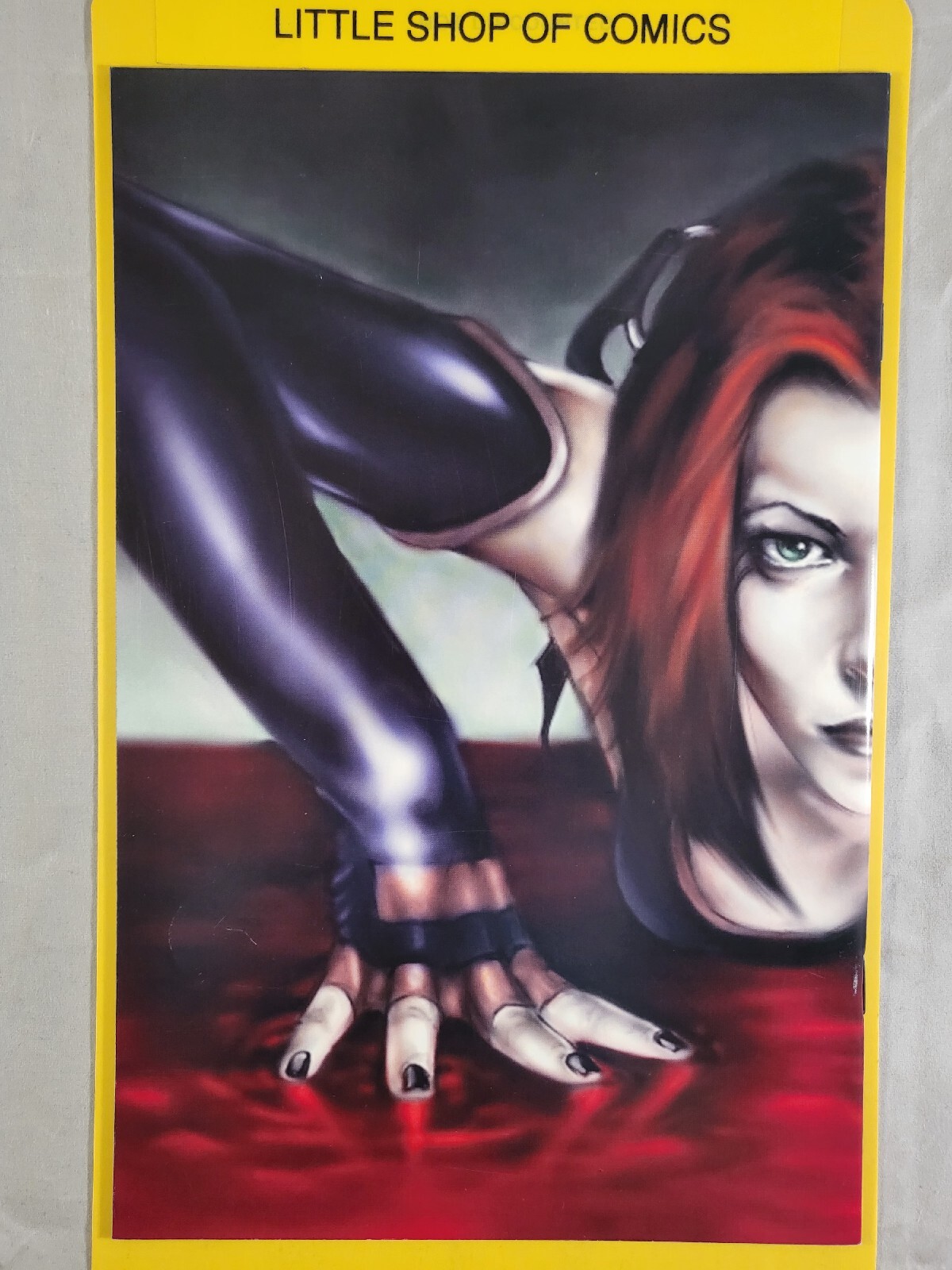 Bloodrayne Red Blood Run #2 2007 Digital Webbing Incentive Variant VF