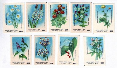 1977 Wild Plants of Russia Russian 9 different matchbox labels Flora Nature scar