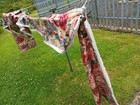 Bild 4 von 6