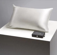 BLISSY Silk Pillowcase - 100% Pure Mulberry Silk - 22 Momme High-Grade QUEEN
