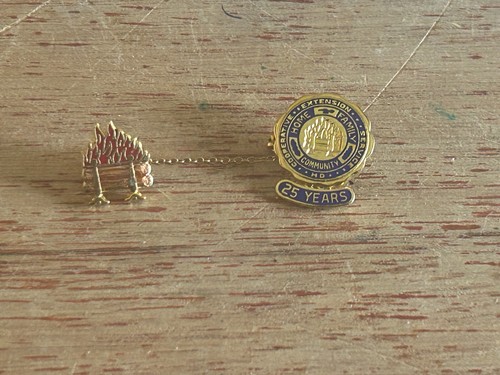 Cooperative Extension Service Anstecknadel 25 Jahre Member Service Award Pullover Pin - Bild 14 von 18