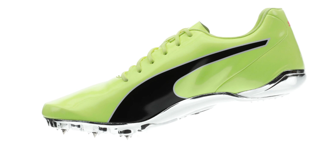 puma evospeed 8