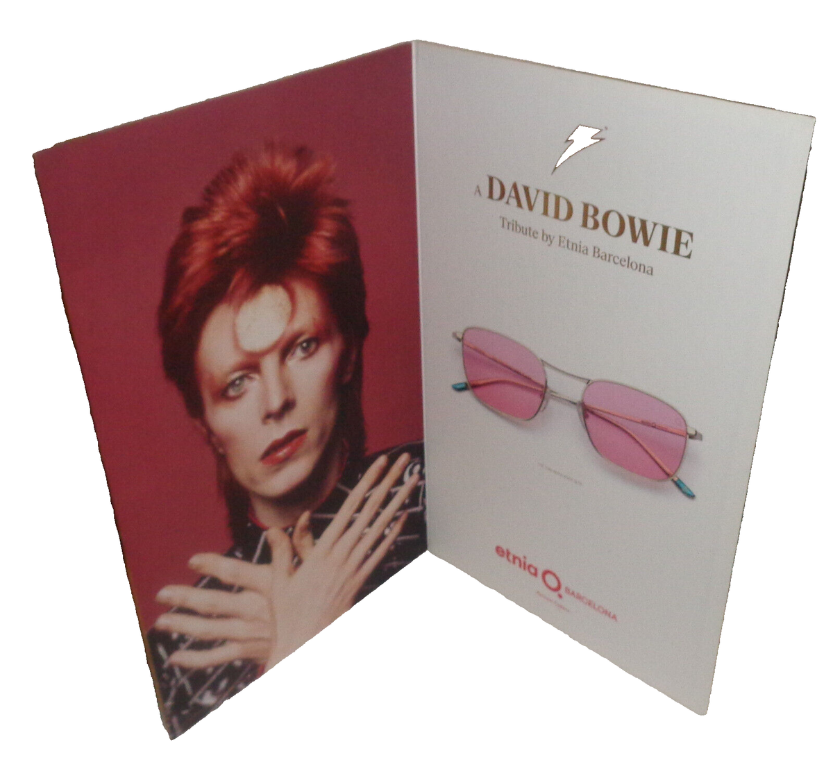 RARE David Bowie Tribute by Etnia Barcelona Eyeglasses Cardboard