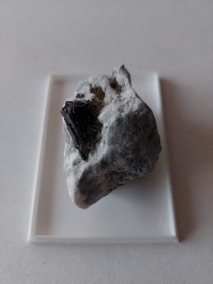 Neptunit, San Benito Gem Mine, San Benito County, Californien, U.S.A. (N-16)