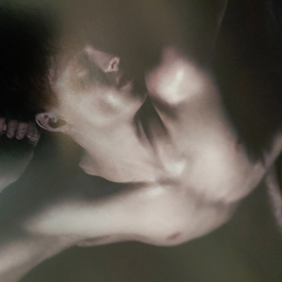 Elliott James Frieze Red Hot II Thomas Knights Gay nude Photography hardcover - Image 3 of 4